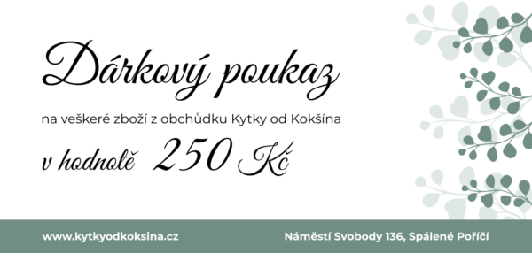 Dárkový poukaz 250