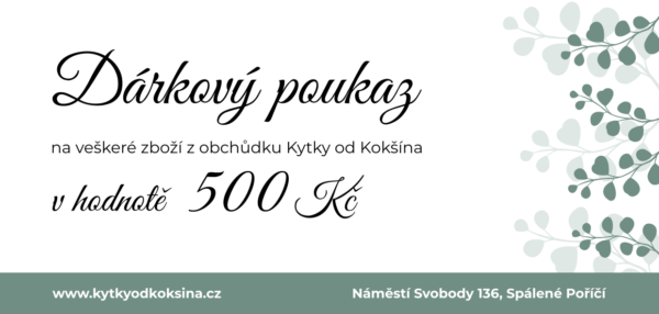Dárkový poukaz 500